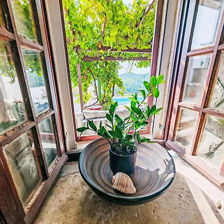 Prusina By Interhome